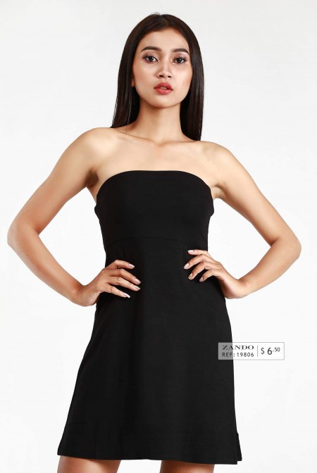 Lady Strapless Fit and Flare Dress